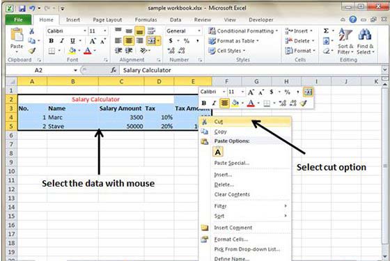 Cut Selected data with Right Click
