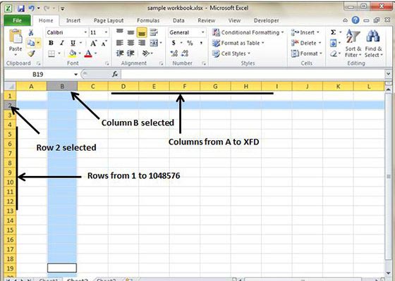 Rows and Columns in MS Excel
