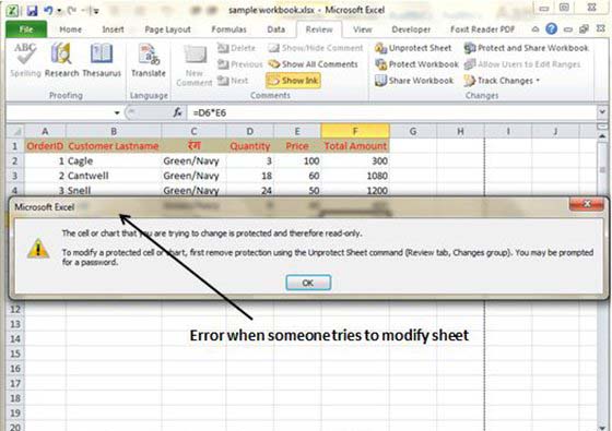 Protected sheet Error