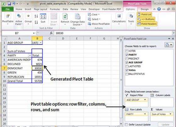Pivot Table Example Data