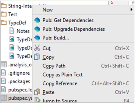 WebStorm IDE