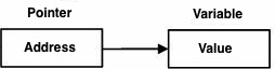 zaixianer in D