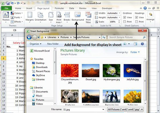 Setting Background only Display in Sheet