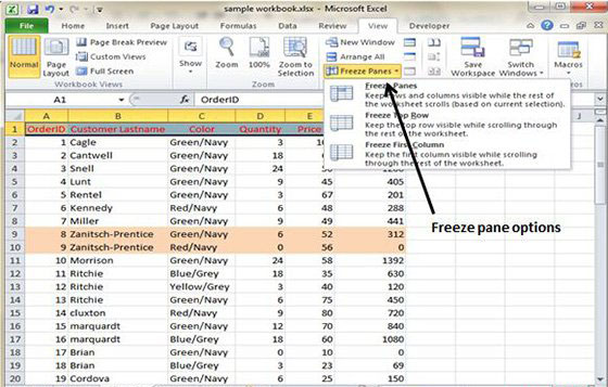 Freeze Panes Use